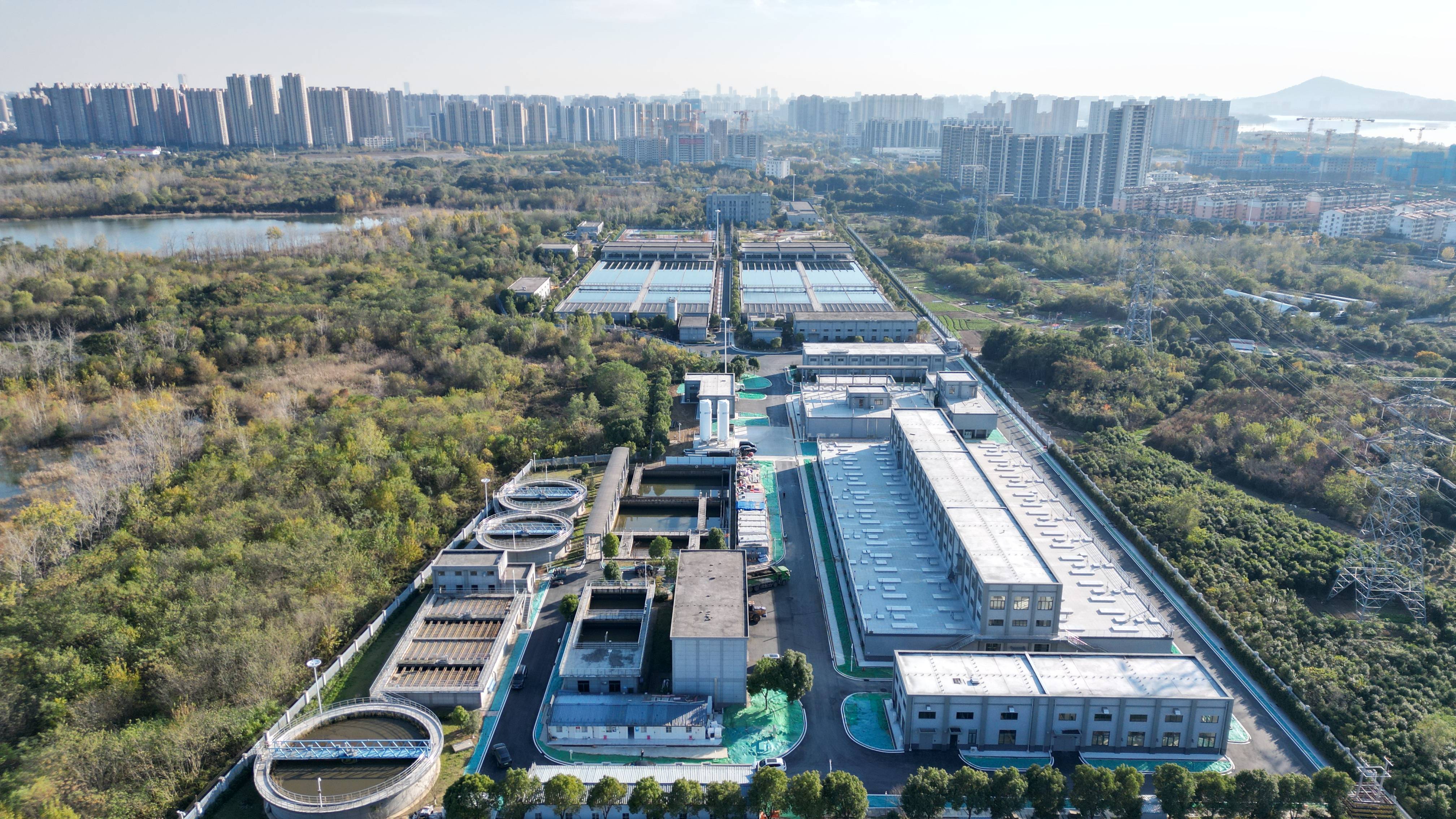 潍坊市合肥专业企业价值增长(合肥市重点企业产业目录)