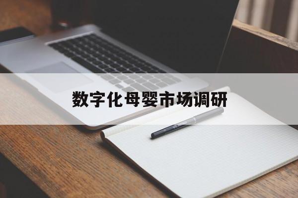 潍坊市数字化母婴市场调研(数字化母婴市场调研报告)